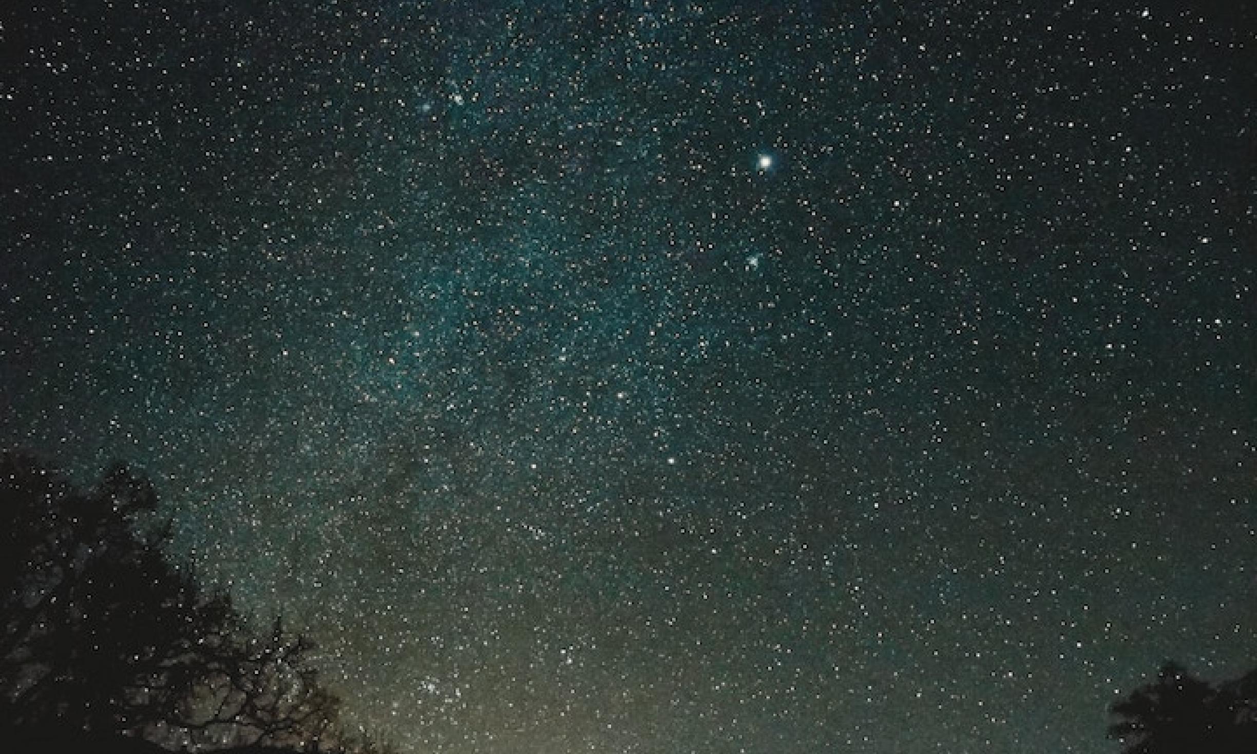 finding-the-north-star-wilderness-awareness-school