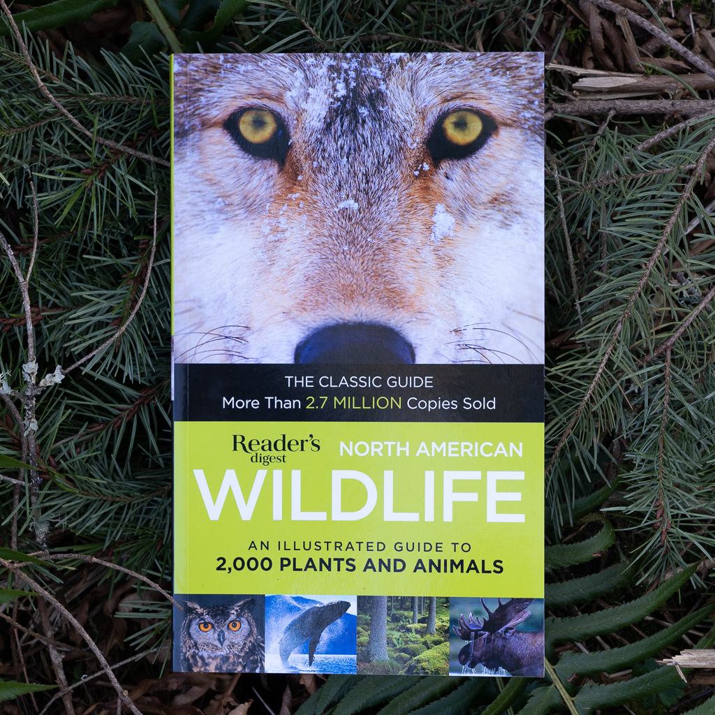 Reader's Digest: North American Wildlife » Wilderness Awareness School