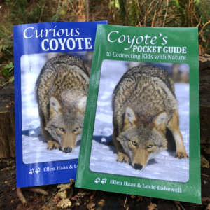 Curious Coyote Set