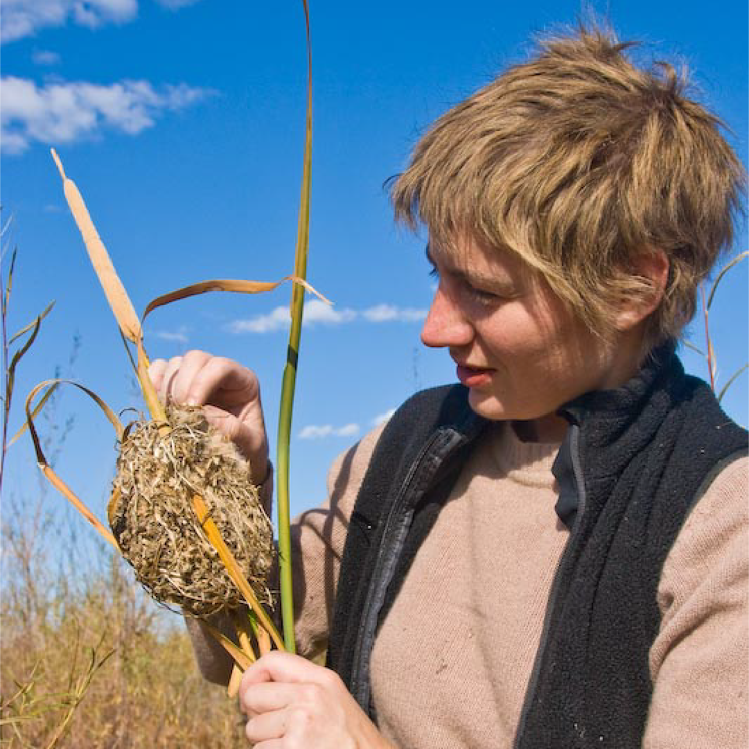 Wildlife Tracking Intensive » Wilderness Awareness School