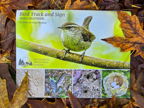 2025 Wall Calendar: Bird Track and Sign