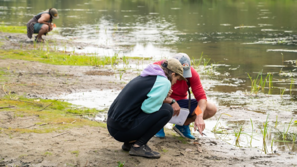 Wildlife Tracking Intensive » Wilderness Awareness School