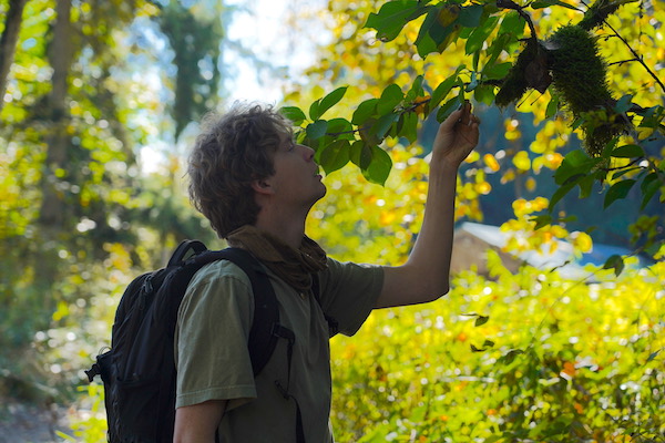 Wild Plant Intensive thumbnail