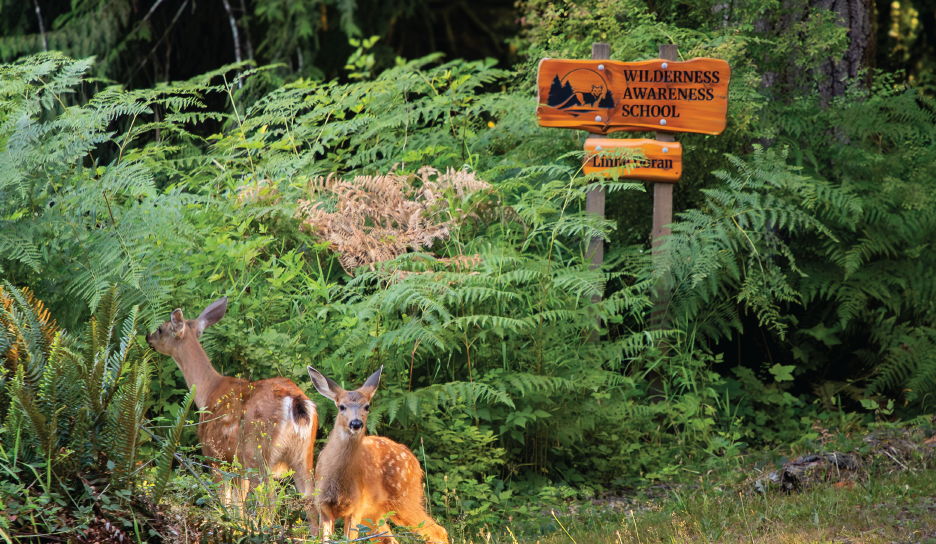 Linne Doran and Coho Ridge thumbnail