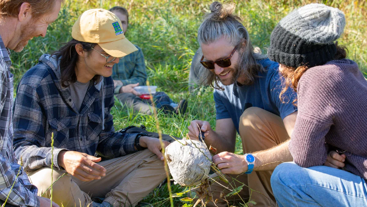 Wild Path students smiling as they examine a wasp nest together in a grassy meadow