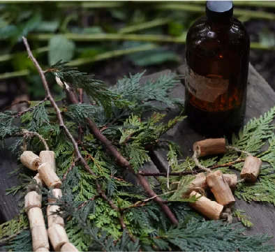 Natural materials, cut twigs and a brown glass bottle laid out on moss